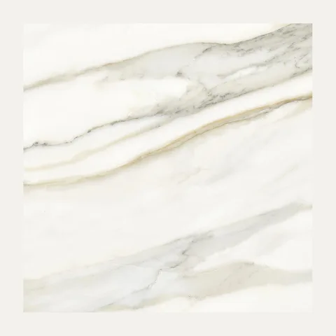 Venato Gold Mate 60X60