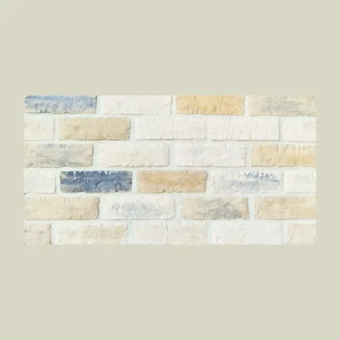 Fasadna rusticna cigla HS mix