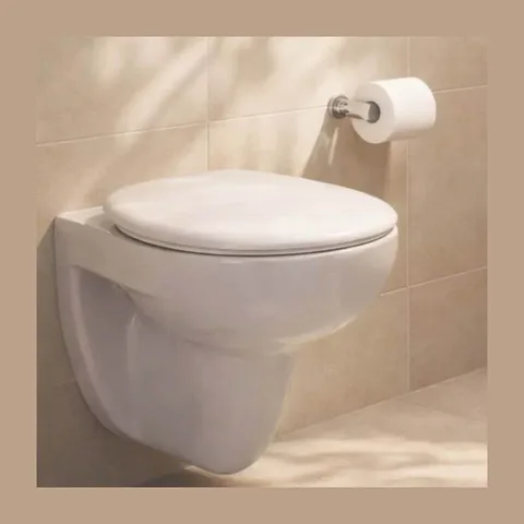 WC šolja Basic sa soft-close daskom (LX-1170)