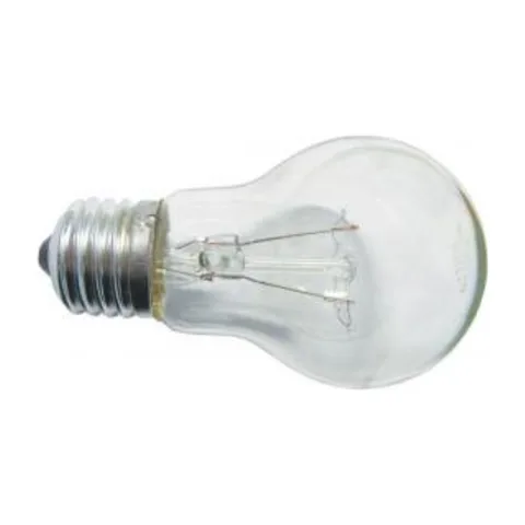 A55 100W E27 230V standardna bistra sijalica