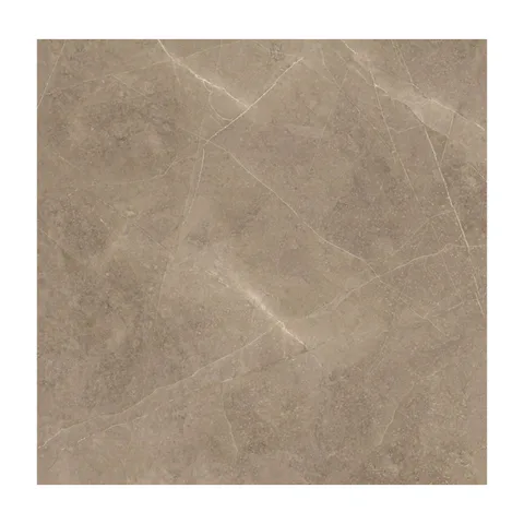 PP ELEGANT taupe 60*60
