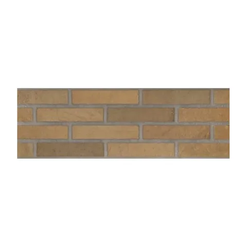 Ascot Fuego 20×60