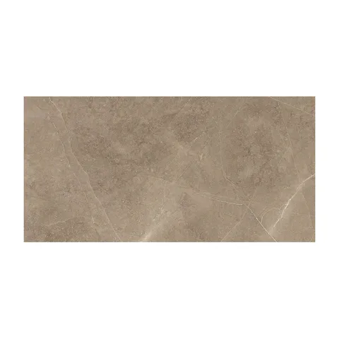 Elegant Taupe 30X60