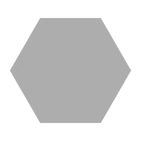 Basic Silver Hex25 22×25