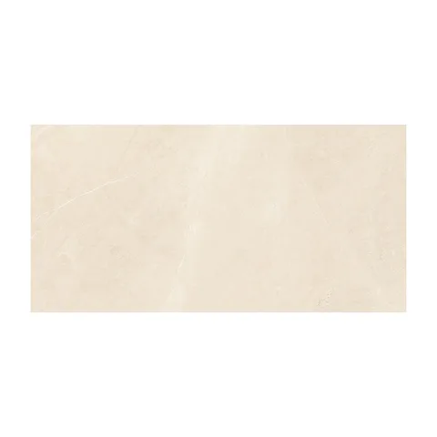Elegant Beige 30X60