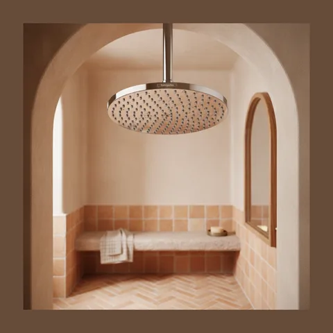 Tuš ruža Hansgrohe Raindance S