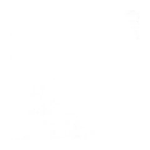 Bonn Blanco 60.8X60.8