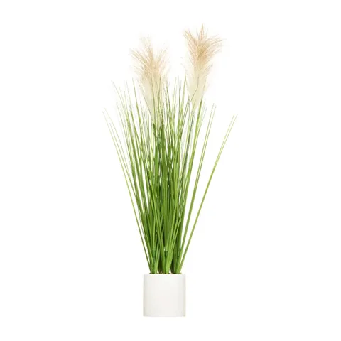 Dekorativna biljka trava u saksiji h70 cm (181500C)