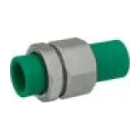 Holender pp f25*f25 (tip A)