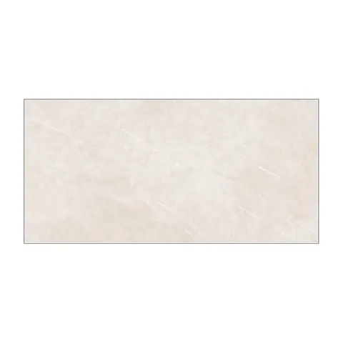 Elegant Taupe 60×120
