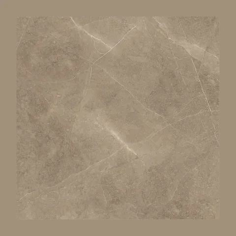 Elegant Taupe 60×60