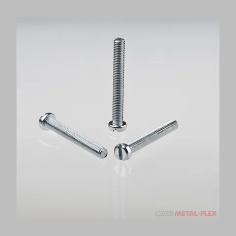 VIJAK SRPS M.B1. 103+-M3X5 ZN