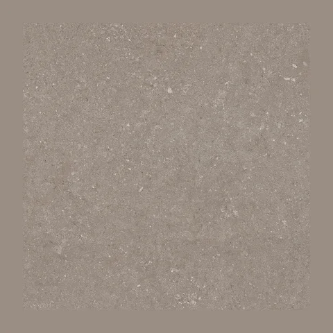 PLOČICE NATURAL TAUPE WT/FT 60X60