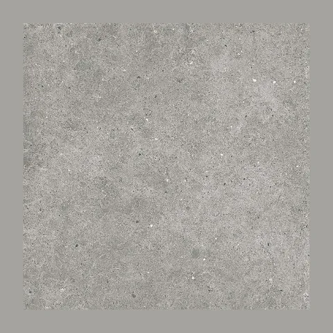 Euro Ceramica Soul Grey 60X60