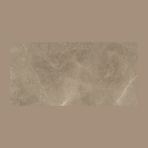 PLOČICE ELEGANT TAUPE RETT 60X120
