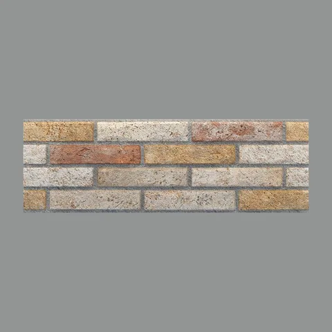 Ascot Mix 20X60
