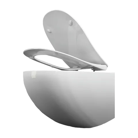 Rimless WC šolja