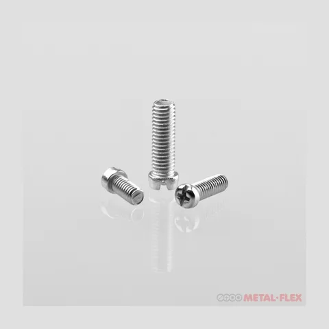 Vijak SRPS M.B1.111 M3 Zn V111305Z