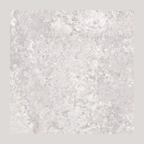 Pantheon Evolution Griseo 100×100