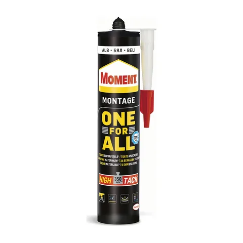 MOMENT ONE FOR ALL 440G CERESIT