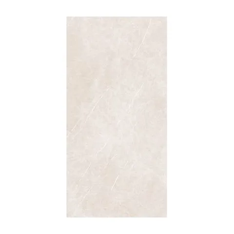 Arena Elegant taupe 60X120 1694