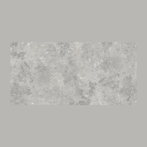 Granitne pločice FLORYS Light Grey Matte Floor 60×120