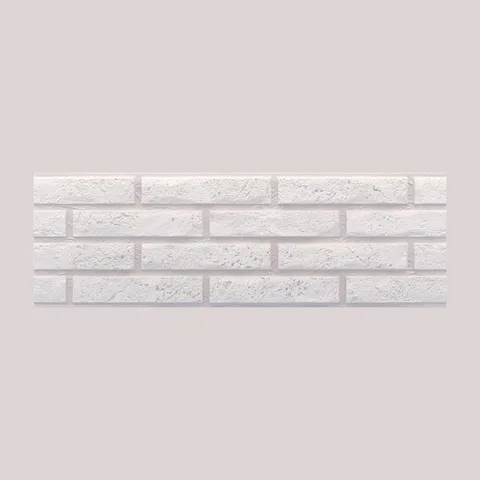 Ascot Blanco 20X60