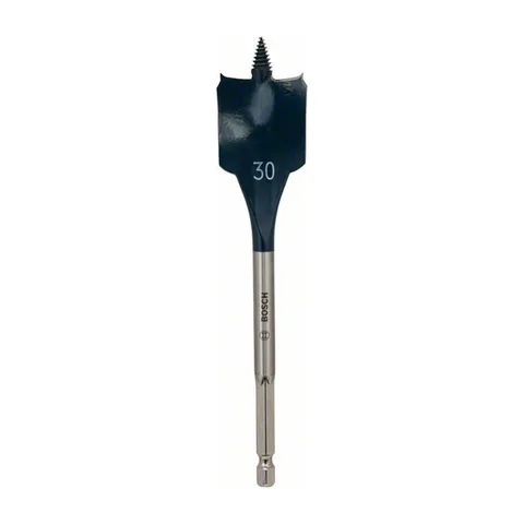 2608900325 EXPERT BURGIJA SELF CUT SPEED 30X152 BOSCH