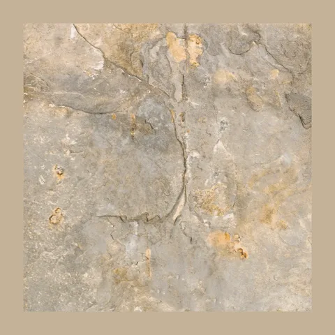 Ego Dark Beige pod 50×50