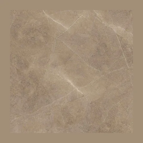 Elegant Taupe 60X60