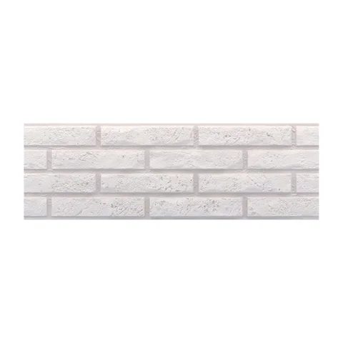 ZP ASCOT blanco 20*60