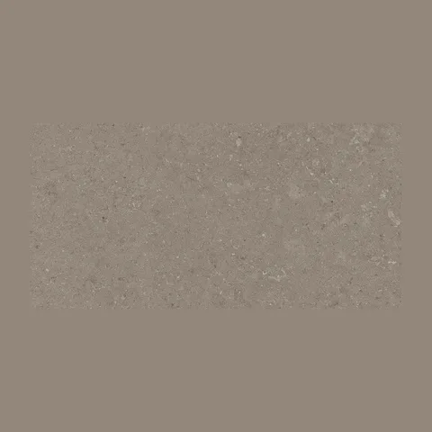 PLOČICE NATURAL TAUPE WT/FT 30X60