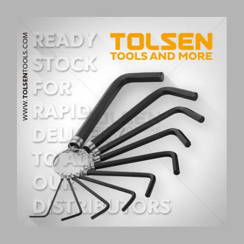 INBUS SET 10/1 TOLSEN 20051