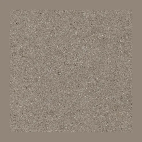 Natural Taupe 60X60