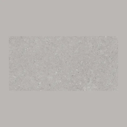 PLOČICE NATURAL GRIGIO WT/FT 30X60