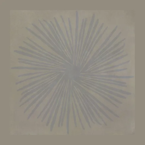 Infinita Dec Fiore Macro Cenere-Fumo 60×60 Rett