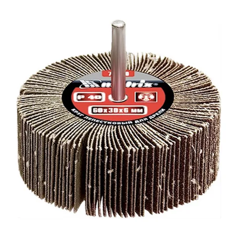 Brusni disk lepezasti P 60 – 60 x 30 x 6 mm 741229