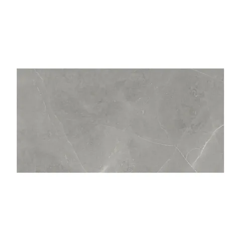 Elegant Grigio 60×120