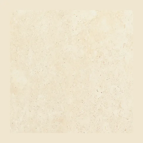 Travertino Navona Rett 100×100