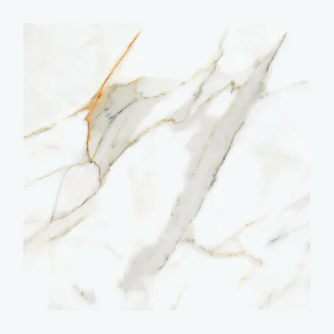 Calacatta Gold 60×60
