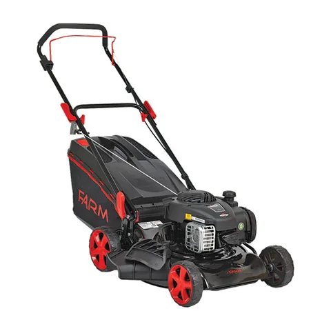 Motorna kosilica gurajuća FLM4608BS