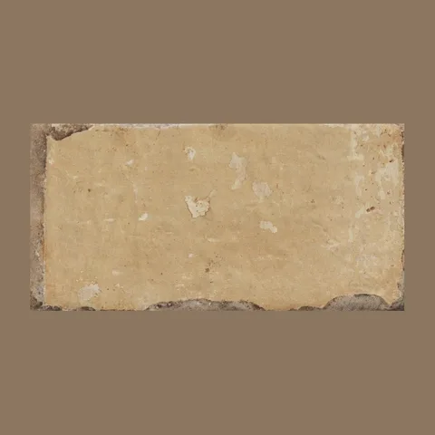 CIR HAVANA Tropicana 20×40