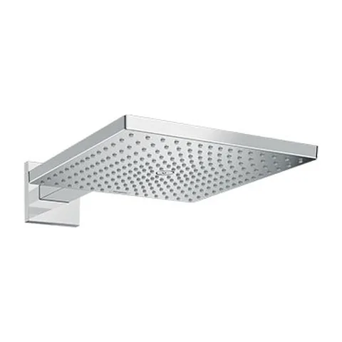 Hansgrohe Raindance ruža tuša e 300 26238000