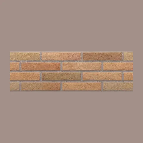 Ascot Fuego 20X60