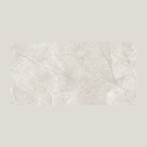 Eiden Pearl Matt Rect 59.8×119.8cm