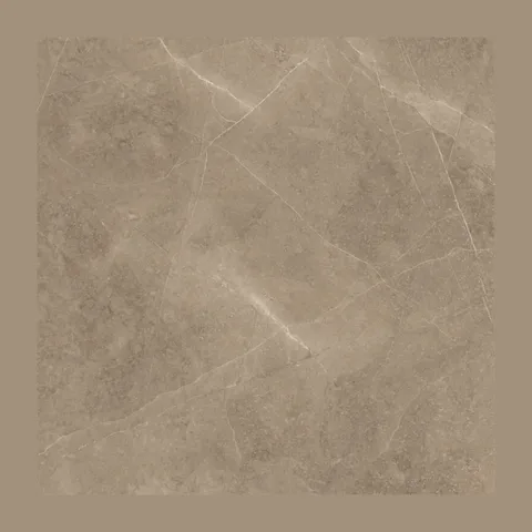 ELEGANT TAUPE 60X60 1.44M2