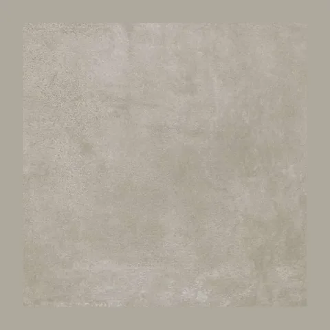 Oyster Noce 60×60