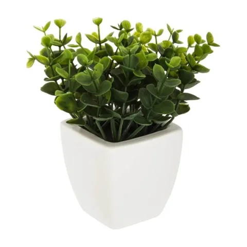 cvece vestacko u saksiji ATMOSPHERA 15cm crmq 155637