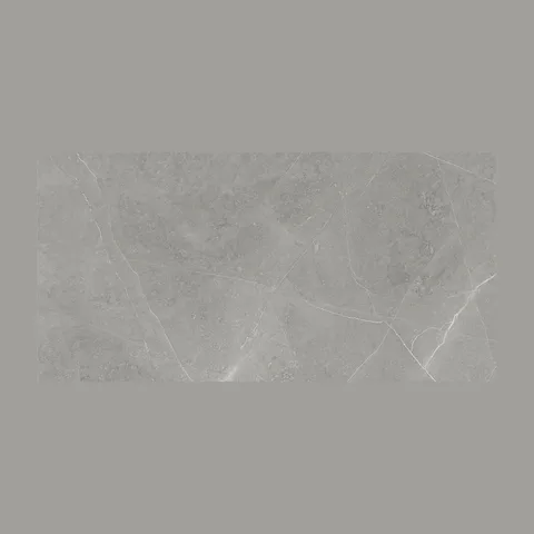 PLOČICE ELEGANT GRIGIO WT/FT 30X60