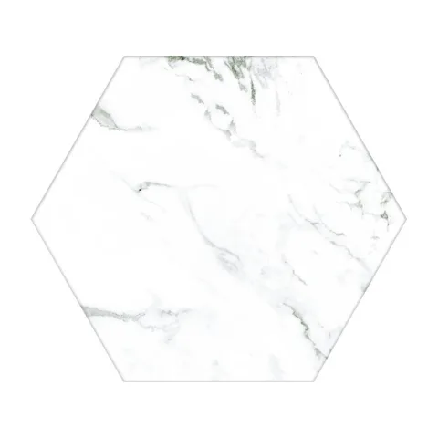 Calacatta Hexagonal 22×25